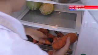 Сопровождение детей-сирот после выпуска из детдома