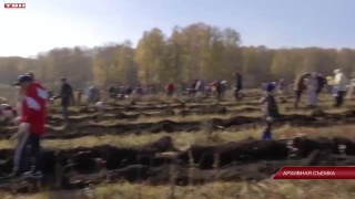 24 мая экологическая акция «100 гектаров»