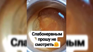 Волонтеры - приют «Причал» - конфликт