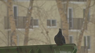 Юридическая помощь со стороны государства