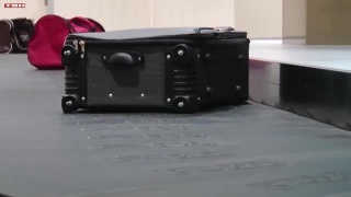 Работа пограничников в аэропорту им. Б.Волынова