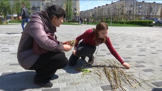 Произведения искусства «Ленд-Арта»
