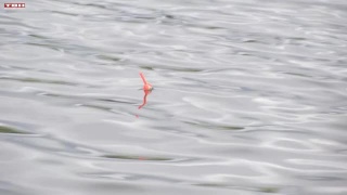 Фестиваль рыбной ловли для сотрудников ЕВРАЗа