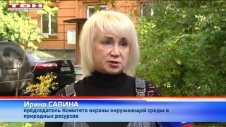 Грубые факты экологических нарушений