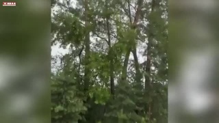 Штормовой ветер и ливневый дождь в выходные