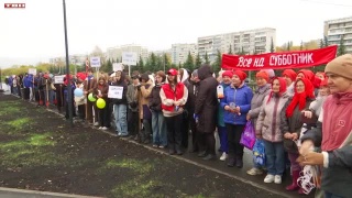 Молодые рябины и липы в Новоильинском районе