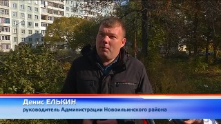 Аварийные деревья в Новоильинке