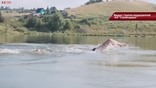 Новокузнечане на «Шахтерской миле» 