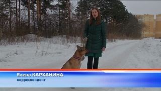 Анонс «ТВН. Крупным планом» от 28.12.17