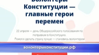 Волонтеры Конституции