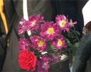 Цветы к Черному тюльпану
