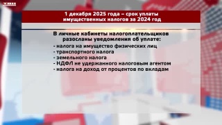Дни открытых дверей в ИФНС по Центральному району