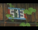 "Кулинарная магия" эфир от 30.07.2014 "Кулинарная магия" эфир от 30.07.2014