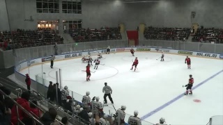 «Омские ястребы» - «Кузнецкие медведи» - 6:3