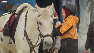 18-й открытый чемпионат по конному спорту