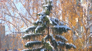 Покров день. Примета и реальность