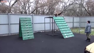 Работа кинологов Кемеровской таможни