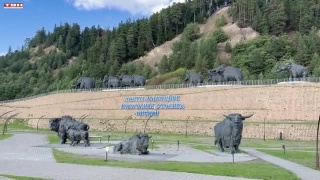 «Металлург» сегодня начинает чемпионат 26/27