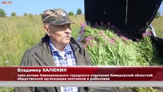 Витамины для диких животных 