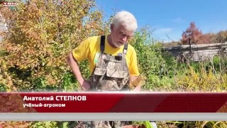 Анонс программы «Вперед, товарищи! На дачу» от 24.09.24