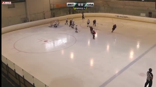 «Металлург 2014» о победе на первенстве Сибири