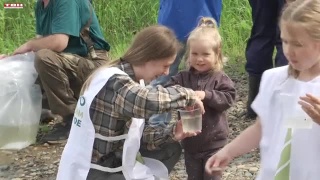 «Сибагро» участвует в зарыблении сибирских рек