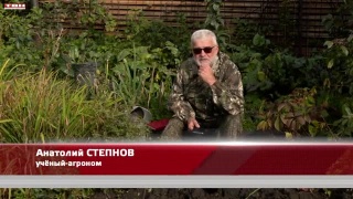 Анонс программы «Вперед, товарищи! На дачу!» от 03.10.23