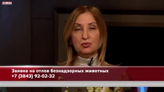 Анонс программы «Квартира №50» от 05.04.24