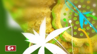 Кулинарная магия. Выпуск 11.08.21 г. Кулинарная магия. Выпуск 11.08.21 г.