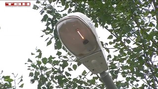 Да будет свет – зимой и летом