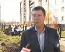 Высадка деревьев в Орджоникидзевском районе