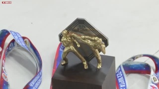 Медали первенства СФО по кикбоксингу