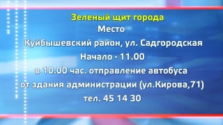 Вместе создать зеленый щит города