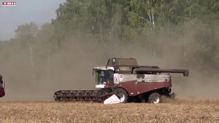 Губернатор проверил ход уборочной