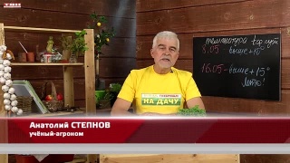 Анонс программы «Вперед, товарищи! На дачу!» от 16.05.23