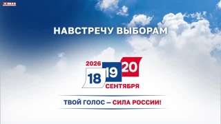 Ярмарки и концерты на избирательных участках