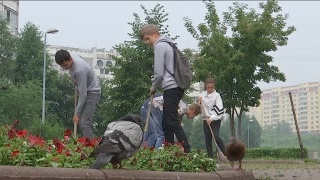 Трудовое лето в Новоильинском районе