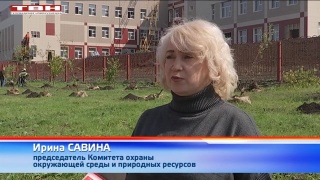 В Новокузнецке заложили инженерную аллею