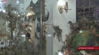 Развитие технической базы и фондов учреждений культуры