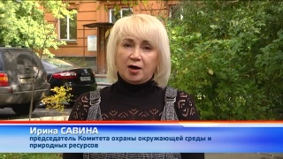 28 сентября – Байдаевские карьеры. Чистые игры