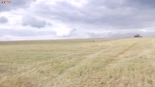 Уборочная. «Сибагро» собирает урожай