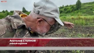 Анонс программы «Вперед, товарищи! На дачу!» от 10.06.25