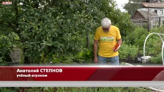 Анонс программы «Вперед, товарищи! На дачу» от 18.07.23