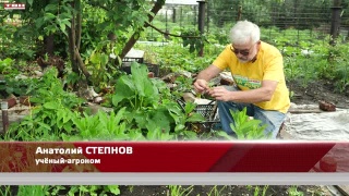 Анонс программы «Вперед, товарищи! На дачу!» от 04.07.23