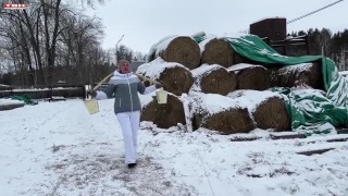 «ПРОЙетины забавы» в Зенковском парке