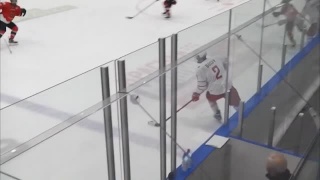 «Кузнецкие Медведи» - «Локо-76» - 3:4 