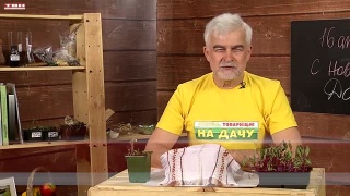 Анонс программы «Вперед, товарищи! На дачу!» от 04.04.24