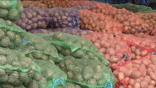 Продовольственная ярмарка в Заводском районе