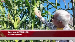 Анонс программы «Вперед, товарищи! На дачу!» от 08.09.26