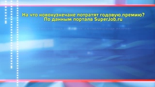 На что потратить новогоднюю премию?